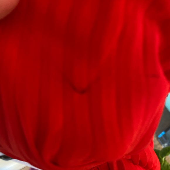 NWT Aritzia Wilfred Beaune Dress in Goji Berry - Picture 3 of 4